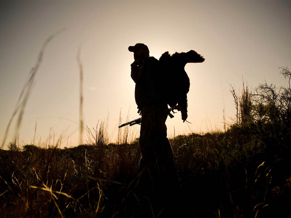 A turkey hunter at sunset.