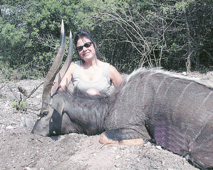 Widely traveled hunter Victoria Myer has 43 SCI trophies in the record book, including this impressive common nyala. Listed in her extensive trophy resume' are Alaska moose, mountain caribou, desert bighorn sheep, blacktail deer, sable antelope, Nile crocodile, kudu, eland Cape buffalo and leopard.