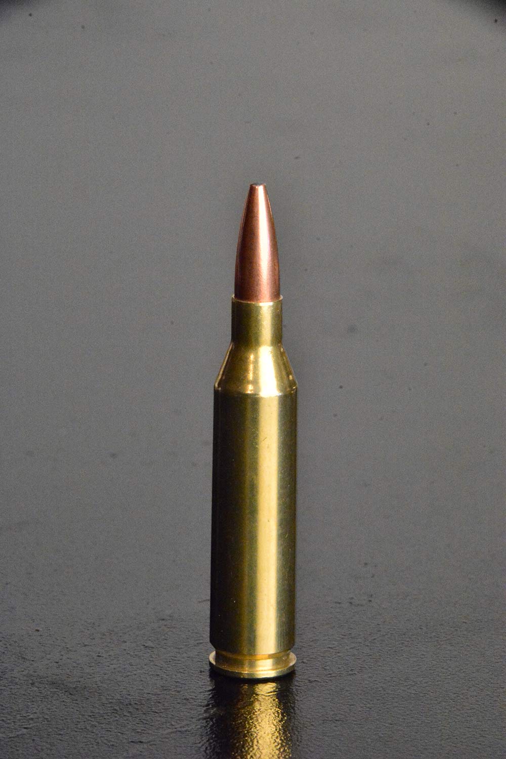 243 winchester rifle ammunition whitetail