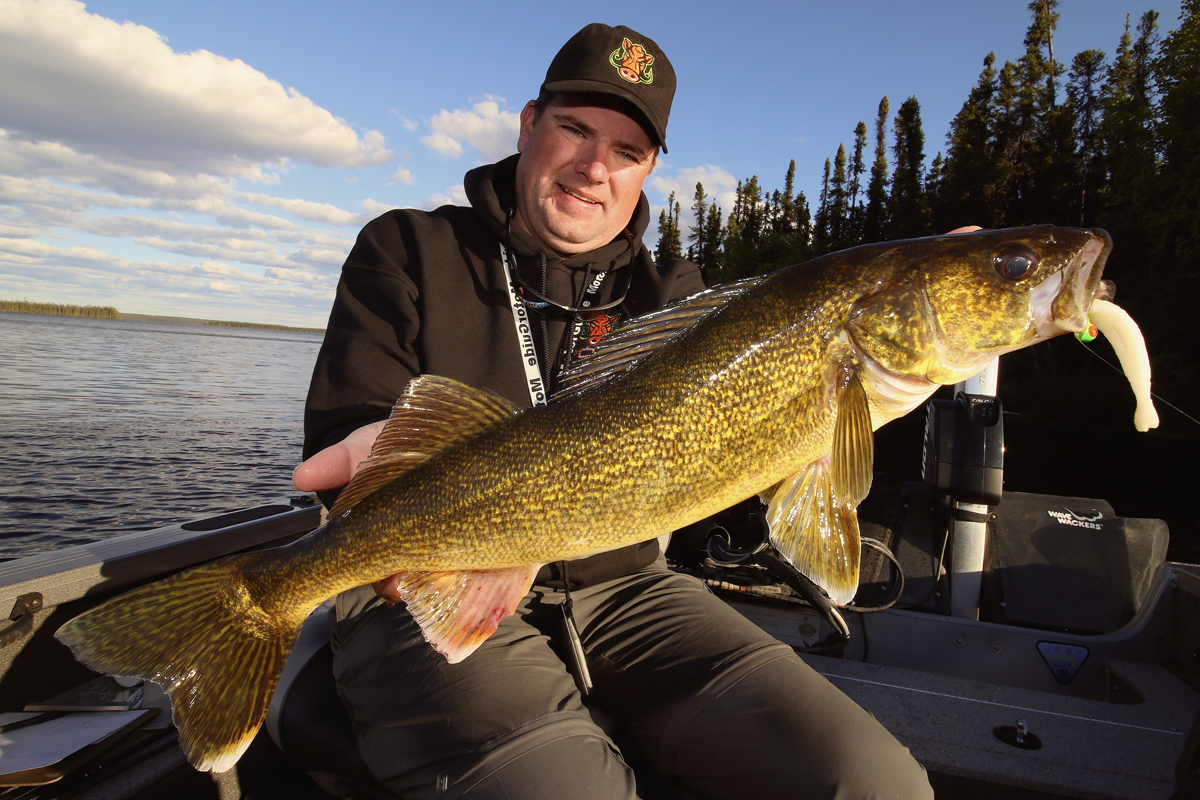 Walleye Fishing: How to Find Scattered ‘Eyes