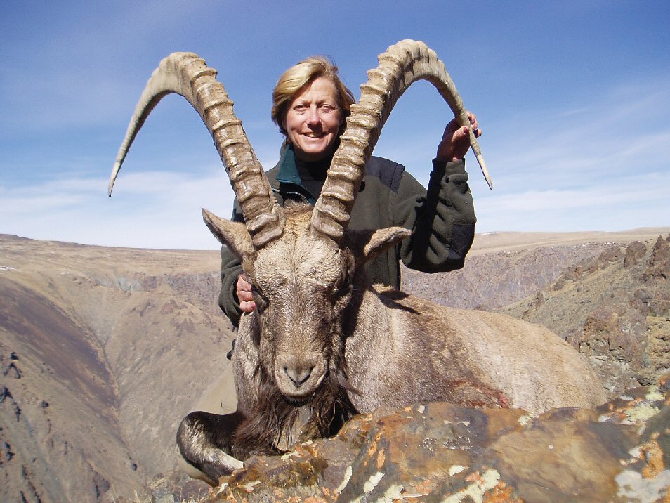 Not to be outdone by her mother-in-law, SCI top hunter Maryann Sackman from New York shows one of 93 trophies she has entered in the record book. This is a Siberian ibex, taken in Mongolia in 2005.  Among Maryann's impressive list of SCI records are: African elephant, Nile crocodile, mule deer, bighorn sheep, kudu, mountain and barren ground caribou, bongo, musk ox, whitetail deer, hippopotamus, African lion, brown bear, polar bear and leopard.