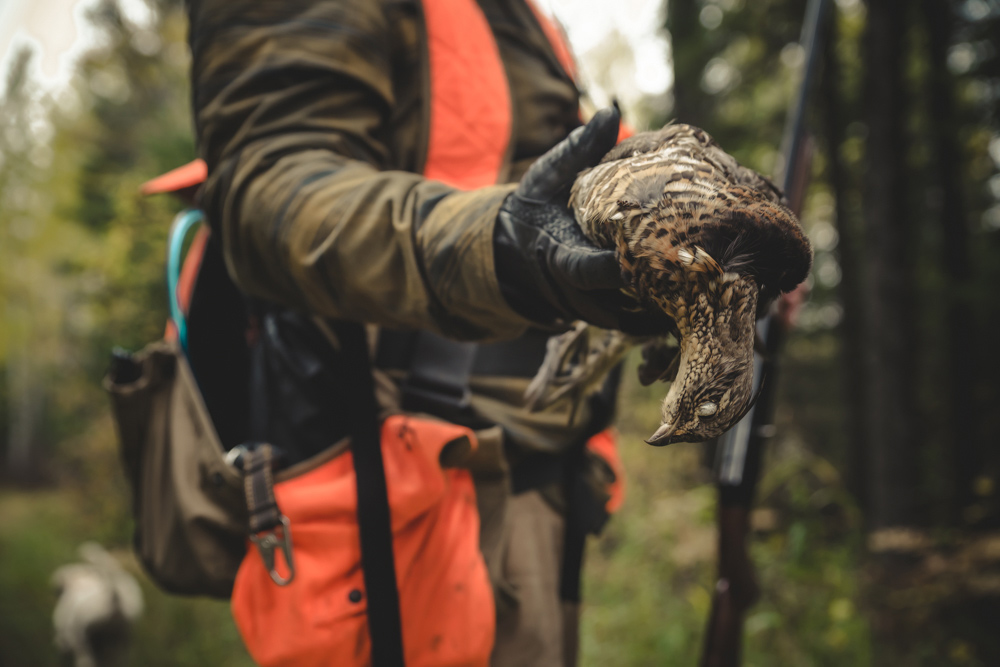 dead grouse in hand