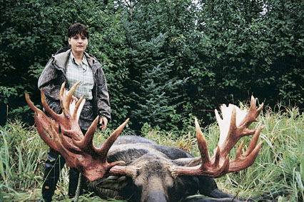 Debra Card holds the No. 1 SCI spot for Alaska-Yukon moose with this impressive giant having a total rack score of 731 1/8 inches. The big bull was taken near near Cordova, Alaska, and has held the number one spot for nearly a decade.  It had 39 points, and an outside rack spread of well over six feet. Debra has a dozen trophy animals registered in the SCI record book.