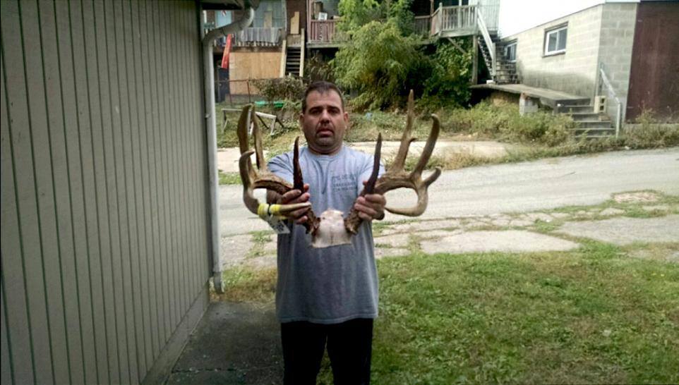 lenzi PA buck antlers