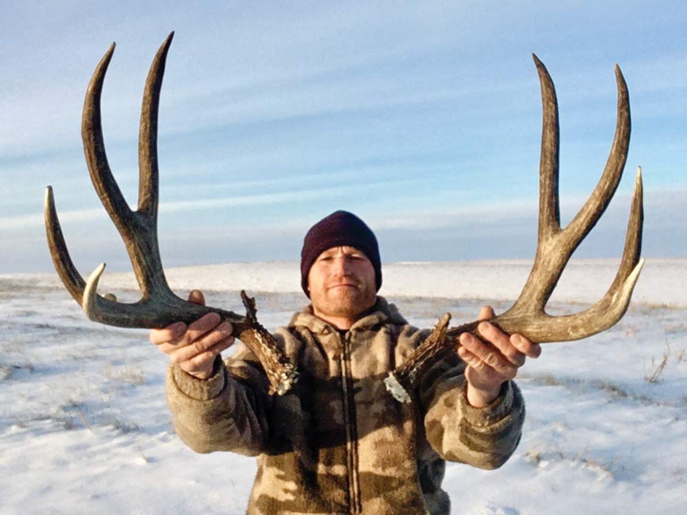 matched set of shed antlers