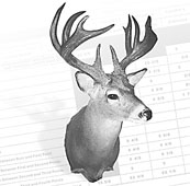 <strong>Coues Whitetail</strong> Mexico (117), Arizona (60), New Mexico (6)