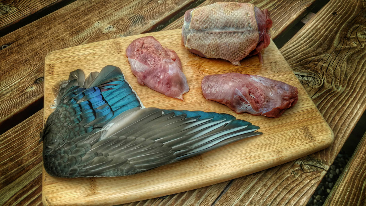wood duck wing and meat