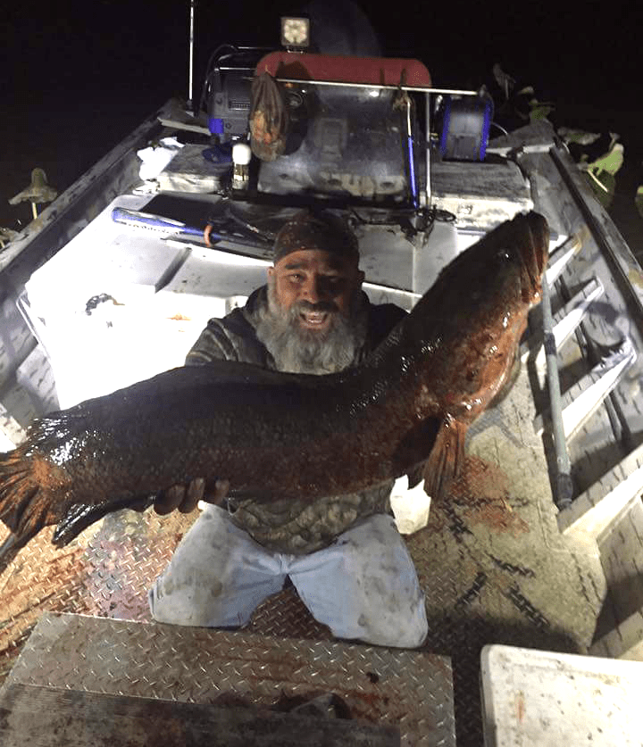 Bowfisherman Breaks Maryland's State Snakehead Record with Huge Fish