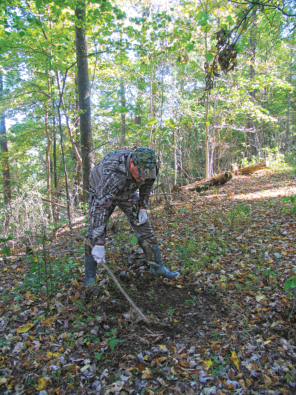 Deer Scents: They’re Not Just For The Rut