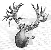 <strong>Mule Deer</strong> Colorado (234), Saskatchewan (88), Wyoming (67)