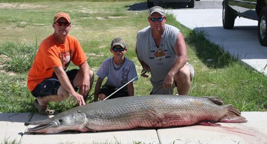 Mississippi Bowfishermen Land Potential State Record Alligator Gar