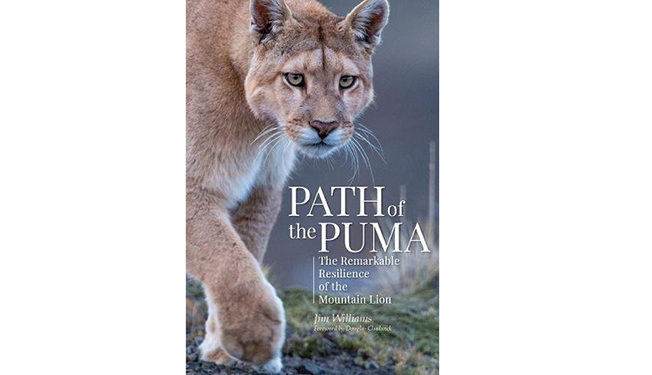 path of the puma