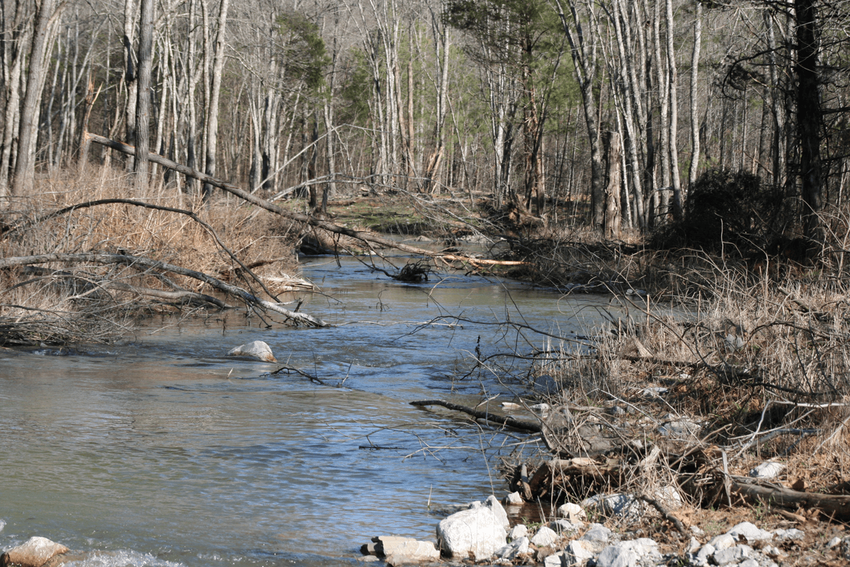 Hatchery Creek: A Man-Made Trout Paradise?