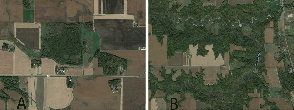 Two side-by-side satellite photos of Midwestern timber and ag fields to compare cover and food sources.