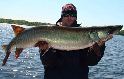 Muskie are famous for following an angler's bait right up to the boat.