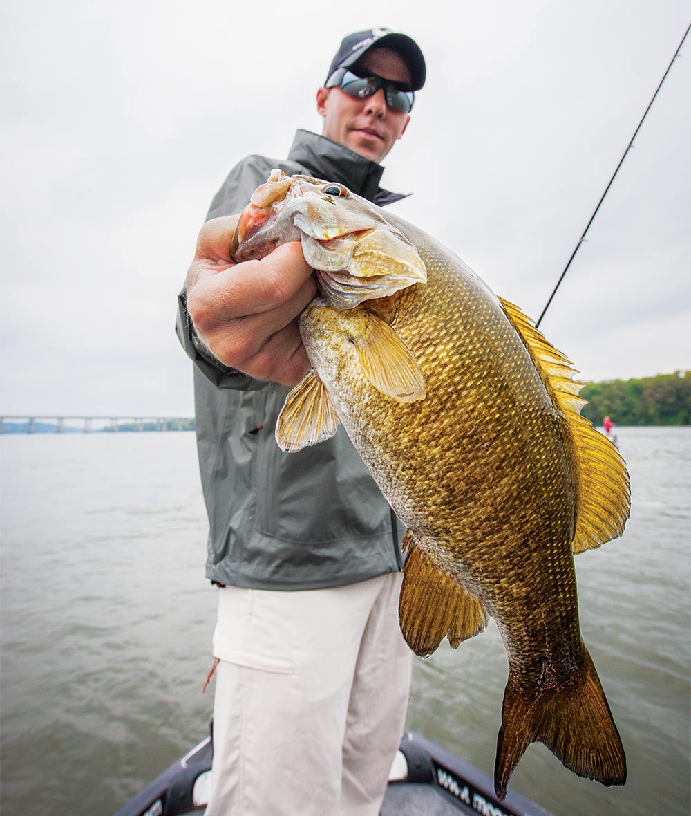fisherman holding up bronze smallmouth bass