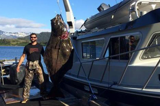 Photos: 405-Pound Halibut Caught in Alaska