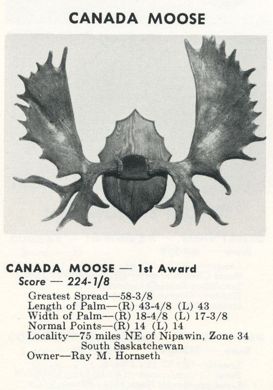 record Canada moose roy hornseth