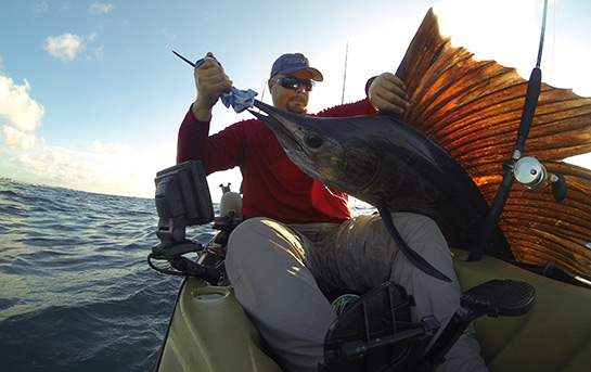 DIY Big-Game Fishing: How to Catch Sailfish on a Budget