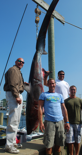 Ed Boarg (left) caught the monster thresher off of his boat the Tuna Tangler Too. He battled the fish for 50 minutes be for his crew was able to gaff it and bring it into the boat. The crew I fished with caught more blue sharks the second day, with no keepers. But you can bet they'll be back to fish the tournament again next year.