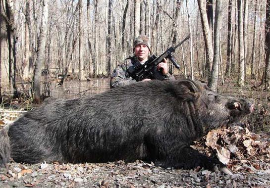 After 6 Years, Hunter Finally Takes Monster Wild Hog in North Carolina