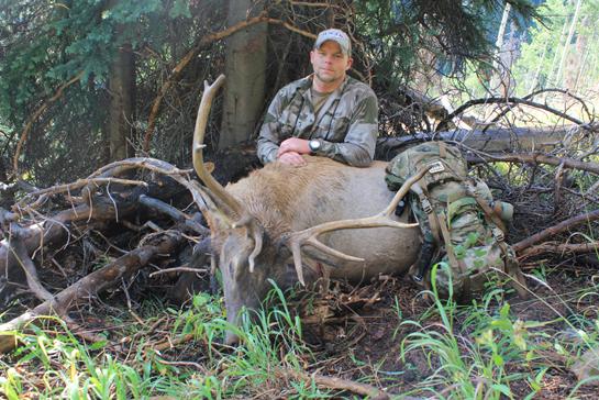 Live Hunt: Two Elk Down In Colorado Bowhunt