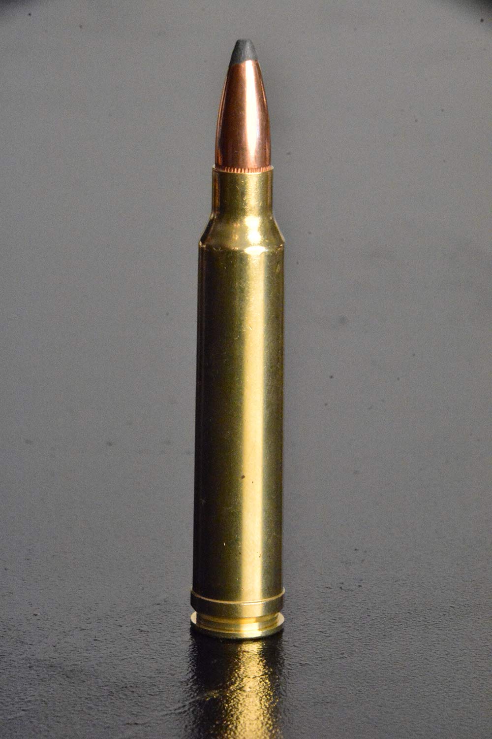 300 winchester rifle ammunition whitetail