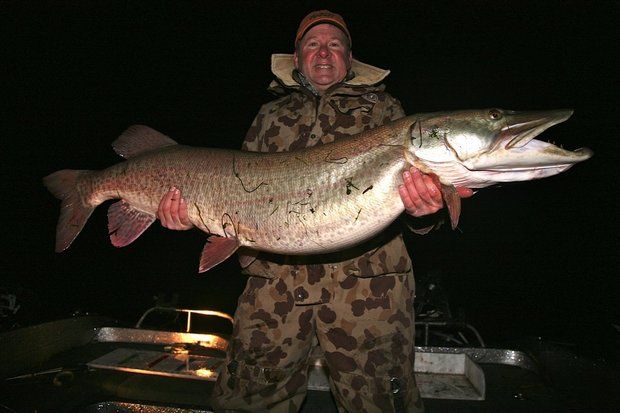Record Muskie: Easy Come Easy Go?