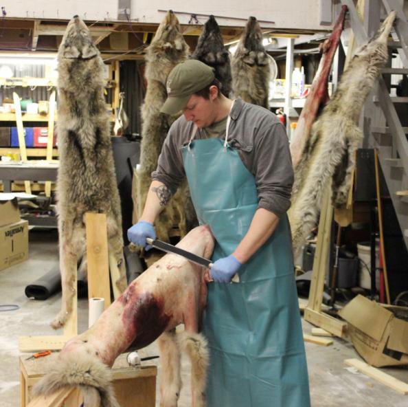 Trapping and Skinning: The Fleshing Beam