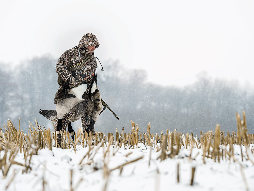 A hunter hauls a full load of geese.