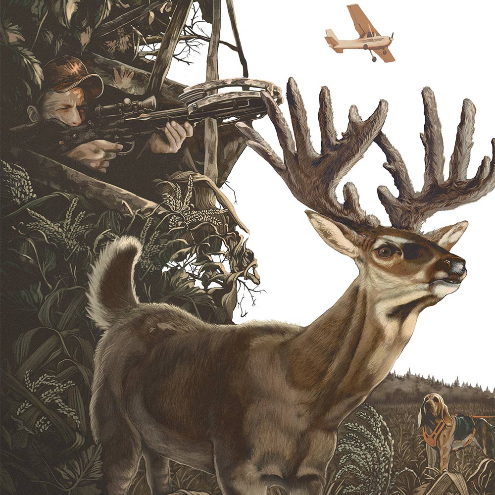 illustration of a buck and crossbow hunter