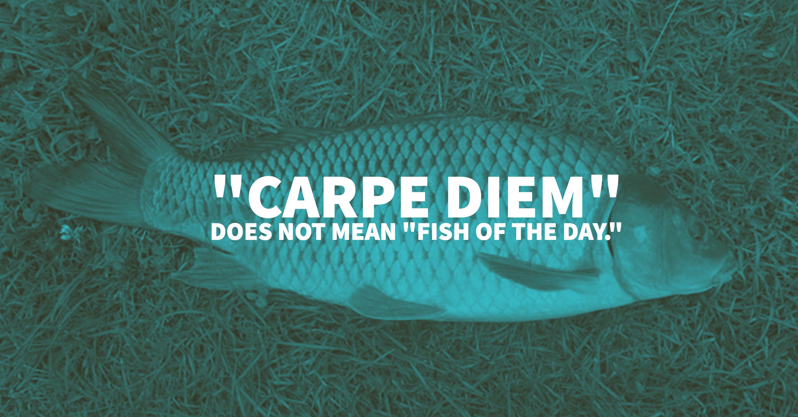 49 of the Best Fishing Quotes of All Time