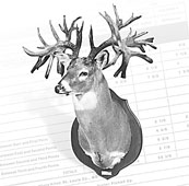 <strong>Whitetail Deer</strong> Illinois (523), Wisconsin (442), Iowa (339)