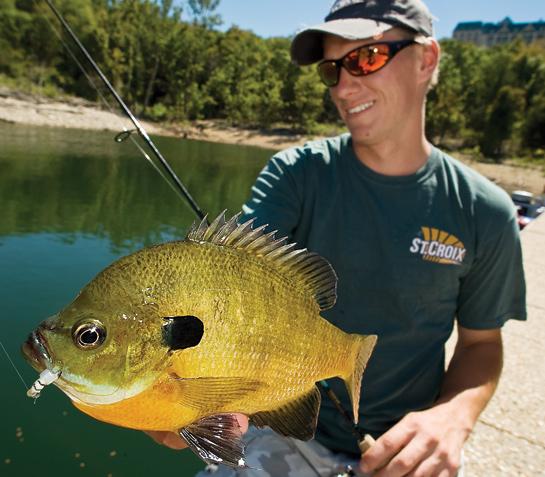 Fishing Tips: Use Icefishing Gear for Early-Summer Bluegills