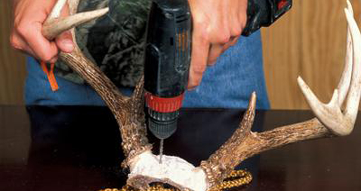 How to Mount Your Own Deer Antlers