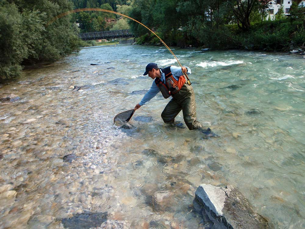 netting a trout with fly fishing