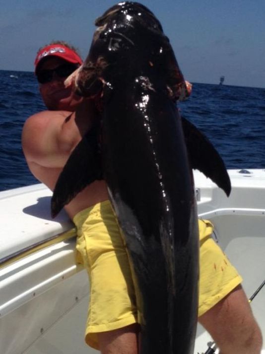 Mississippi Cobia Tops 100 Pounds