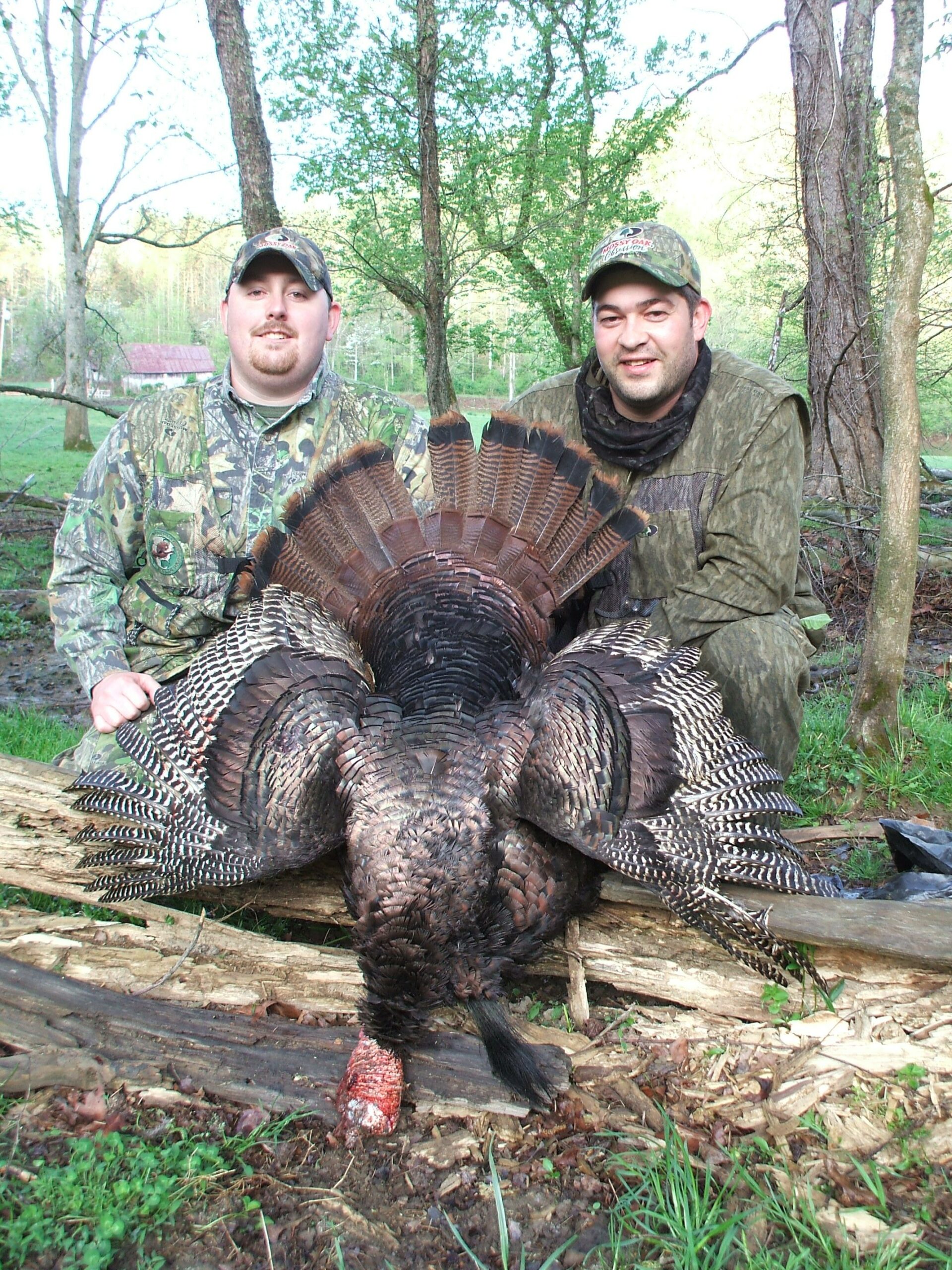 Kentucky Turkeys Opening Day