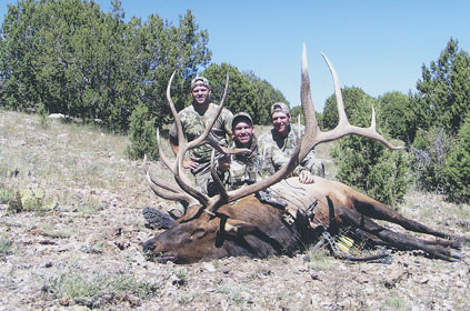 This No. 1 bow-harvested SCI typical Rocky Mountain elk by Shawn Patterson, was taken Sept.  16, 2005 from Arizona's Game Management Unit 10 with guide John McClendon. The 7x7 bull scores 432 2/8s inches, with has massive main beams measuring 60 inches and 62 inches.
