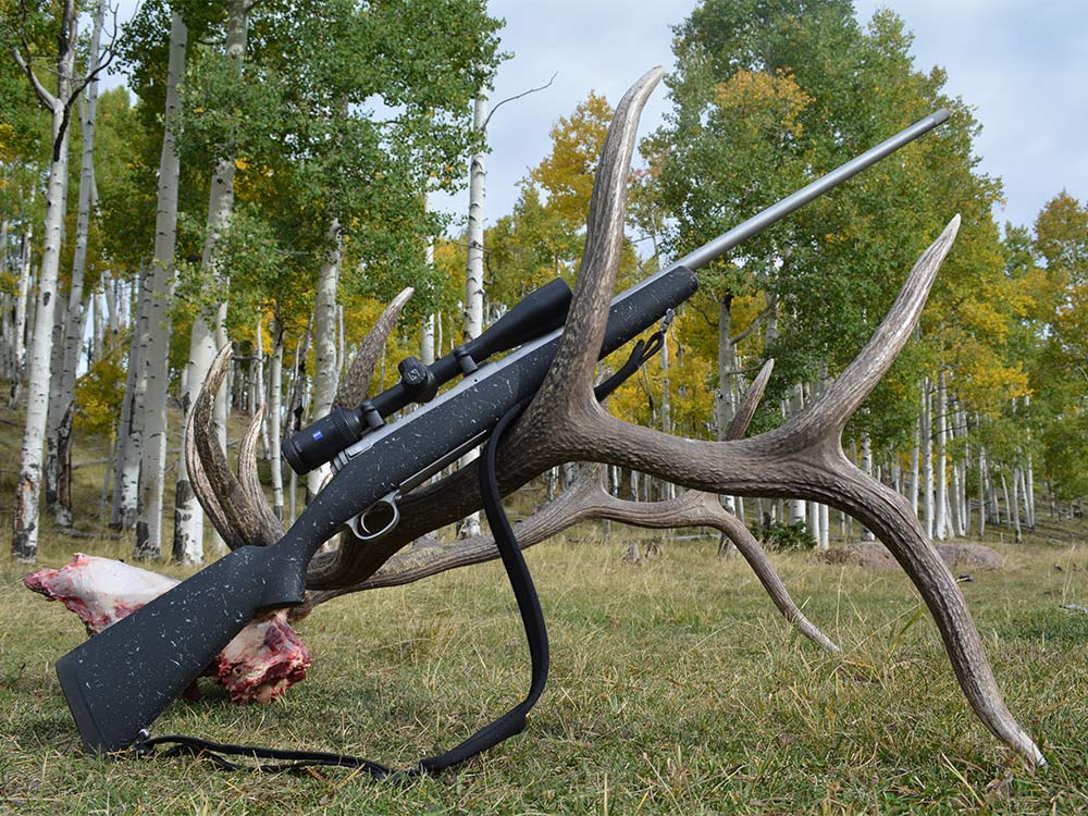 elk hunting preparation shoot to kill