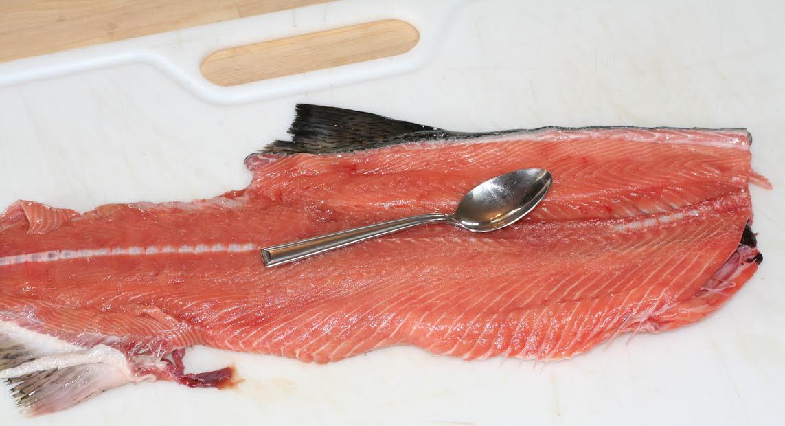 salmon fillet, salmon meat, salmon fishing, salmon recipe, cooking salmon