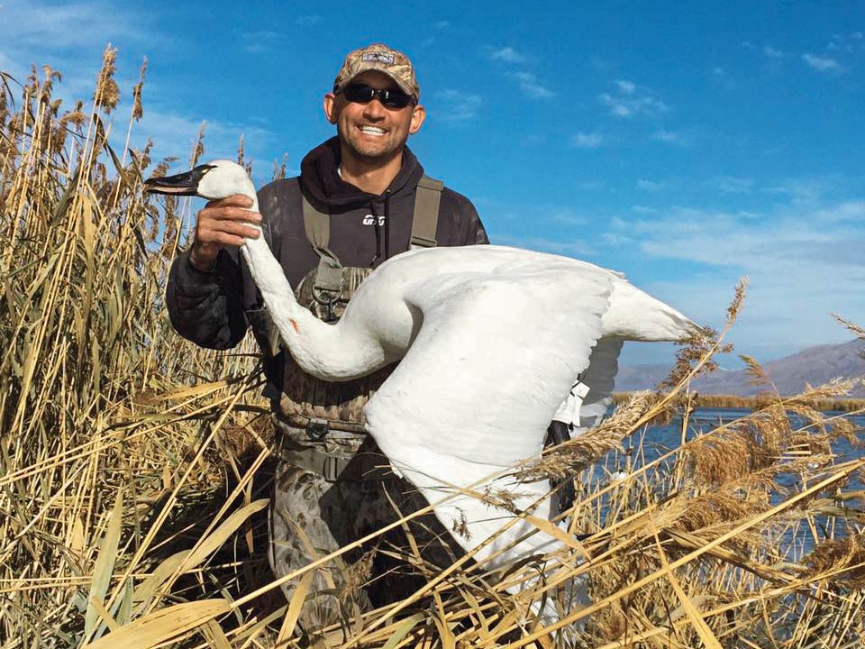 Got a Swan Tag? Here's How to Hunt These Giant Birds | Outdoor Life