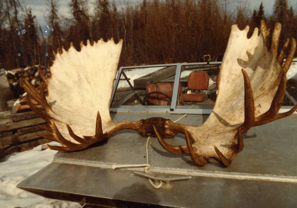 record Alaska moose david b parent