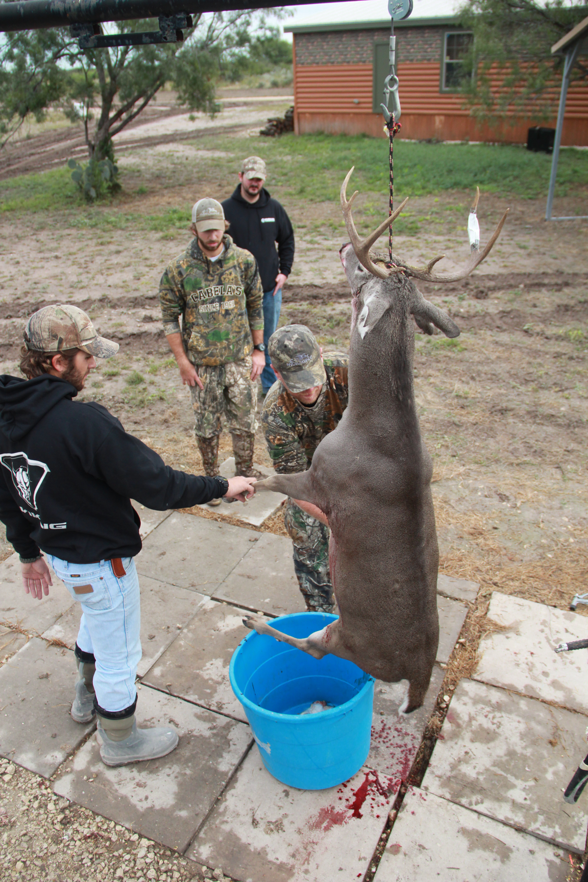 This Side Up: What's the Best Way to Hang a Deer?