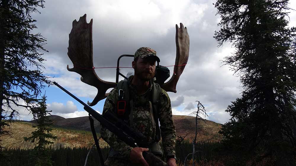 hunter with alaskan moose antlers on his backpack