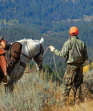 Horseback Riding Tips for Hunters