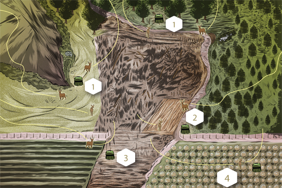 How to set up your ground blind for a bow hunt all depends on where you'll be hunting.