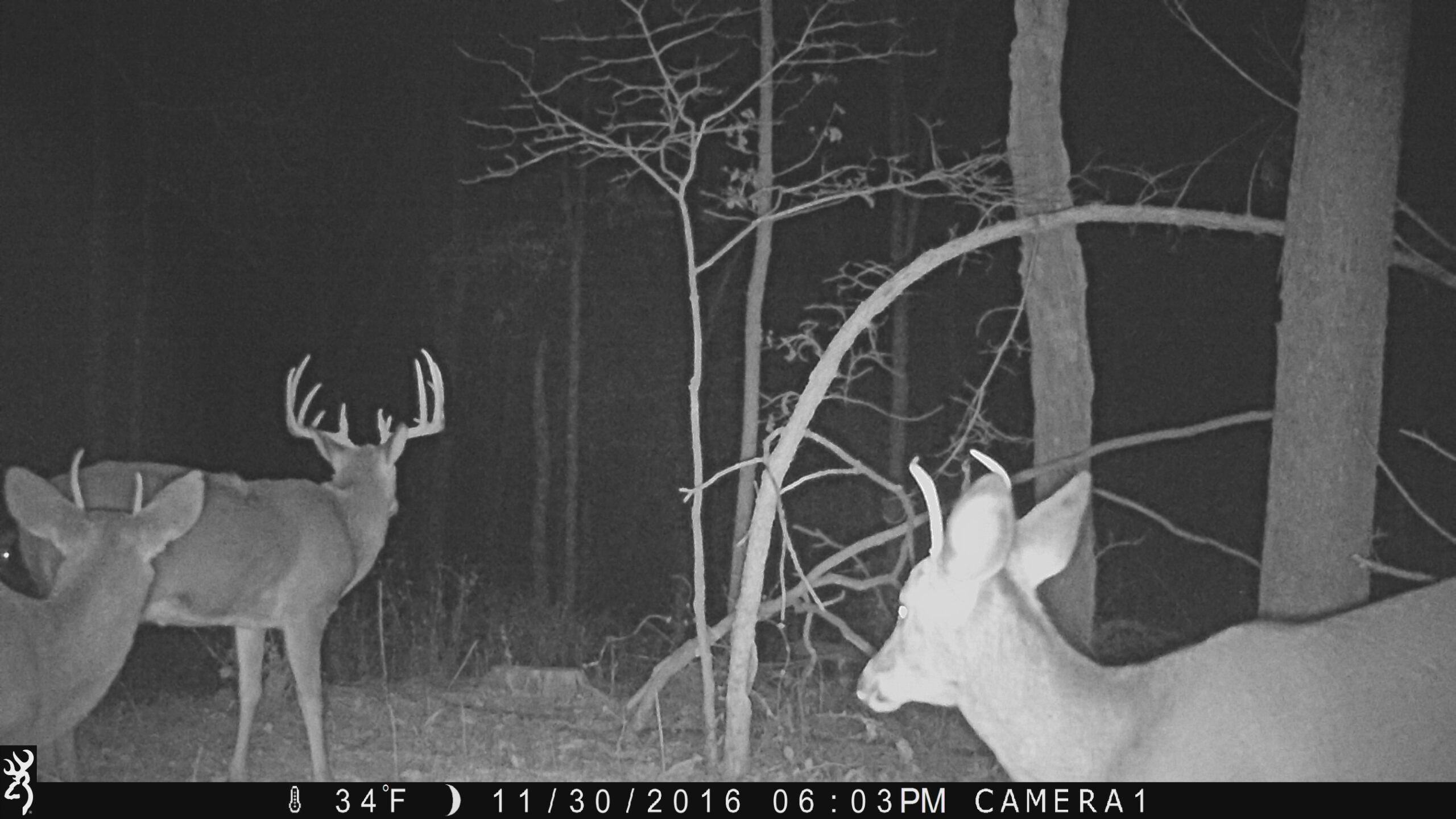 late-season deer hunting