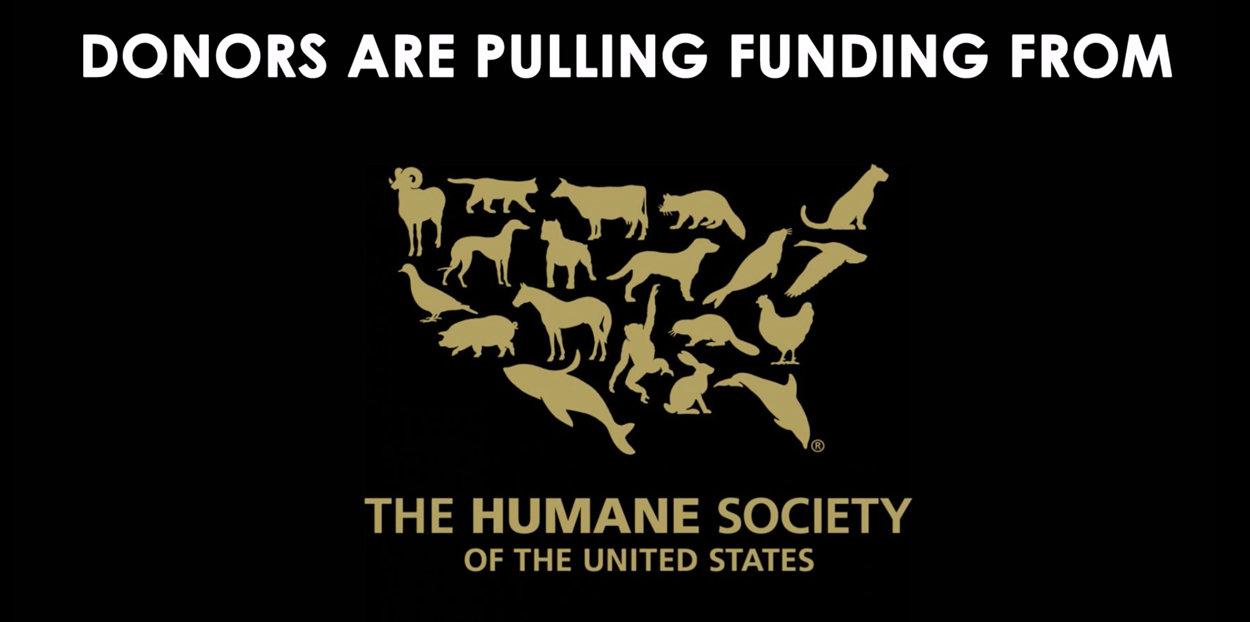 The CEO of the Humane Society of the United States Resigned—Here’s Why It Matters