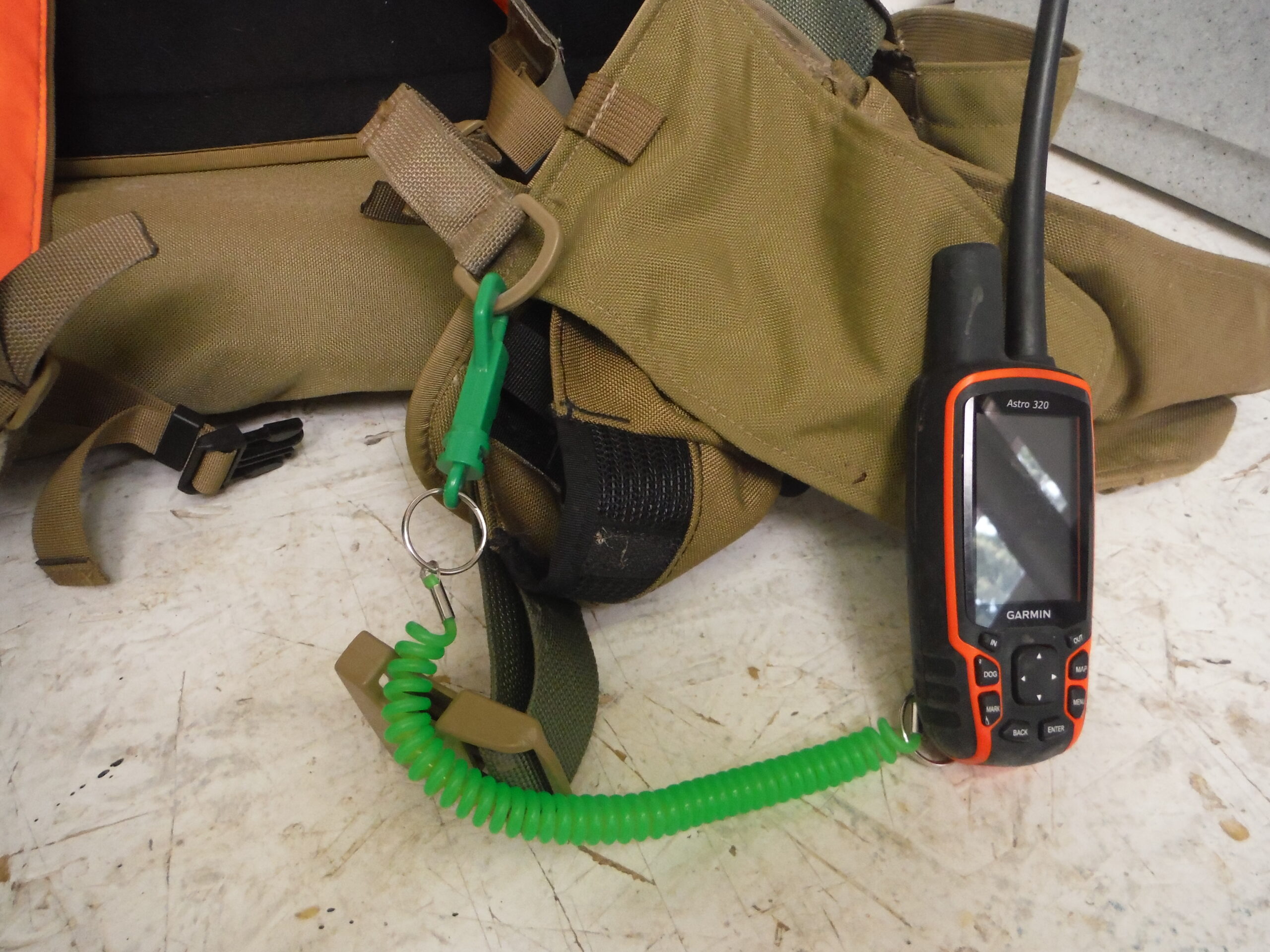 Why You Should Tether All Your Gear to Your Bird Vest